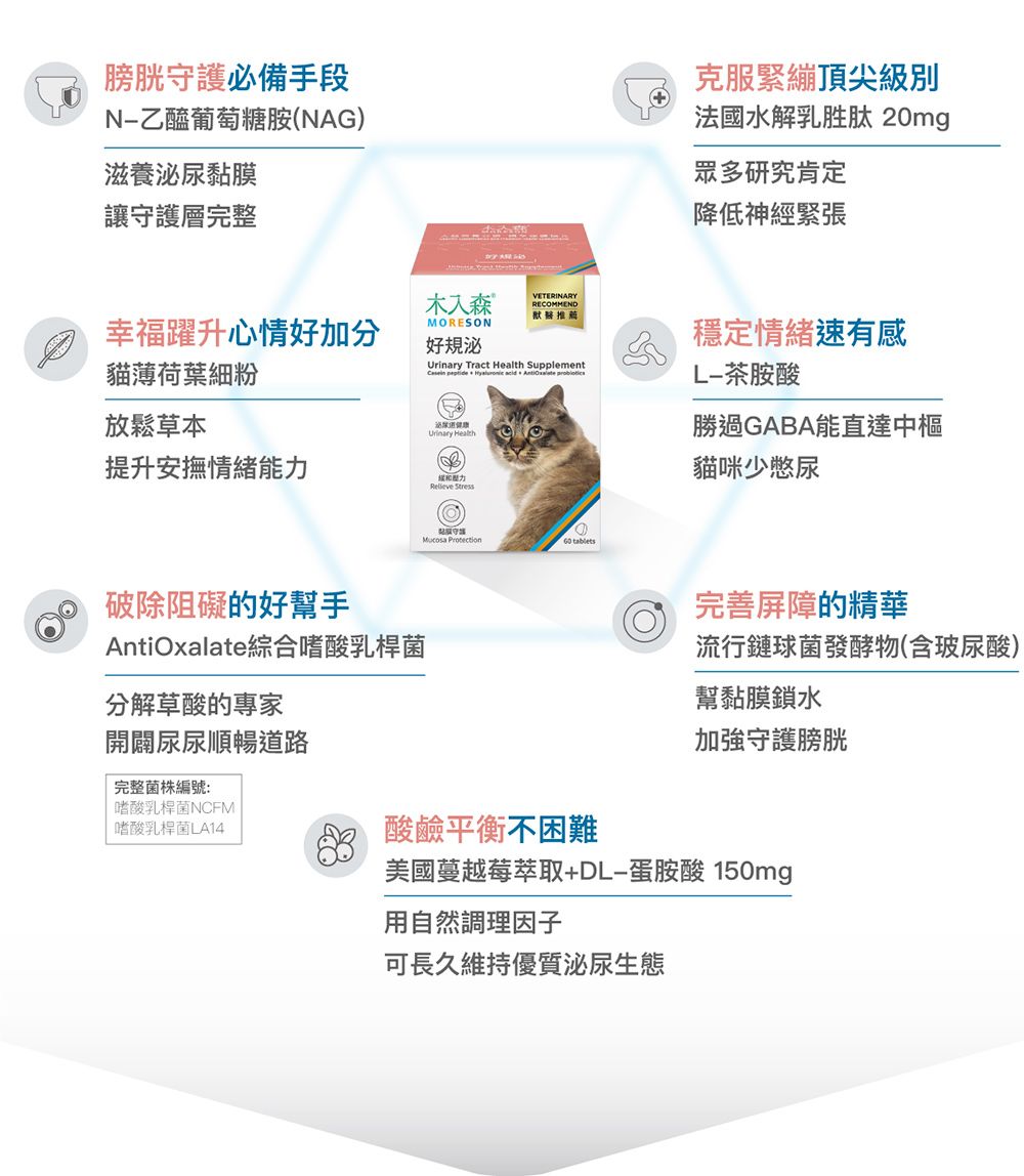 膀胱必備手段乙醯葡萄糖胺(NAG)滋養泌尿黏膜讓守護層完整克服緊繃頂尖級別法國水解乳胜肽 20mg眾多研究肯定降低神經緊張入森VETERINARYRECOMMEND默醫推薦幸福躍升心情好加分MORESON好規泌貓薄荷葉細粉放鬆草本 提升安撫情緒能力Urinary Tract Health Supplement   acid  穩定情緒速有感茶胺酸勝過GABA能直達中樞貓咪少憋尿 破除阻礙的好幫手AntiOxalate綜合嗜酸乳桿菌分解草酸的專家開闢尿尿順暢道路完整菌株編號:嗜酸乳桿菌NCFM嗜酸乳桿菌LA14守護  tablets完善屏障的精華流行鏈球菌發酵物(含玻尿酸)幫黏膜鎖水酸鹼平衡不困難加強守護膀胱美國蔓越莓萃取+DL-蛋胺酸150mg用自然調理因子可長久維持優質泌尿生態