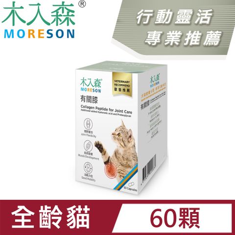 木入森 貓咪有關膝(骨骼關節)保養
