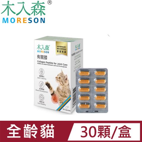 木入森 貓咪有關膝(骨骼關節)保養