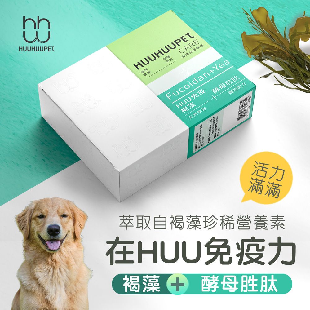 MAODAY 毛商行 呼呼寶貝 犬貓保健世界海藻酵母胜肽萃取 守Huu免疫