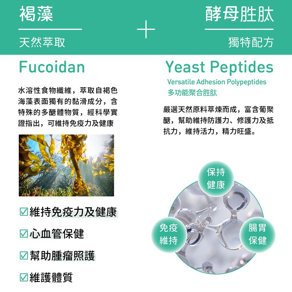 褐藻天然萃取Fucoidan水溶性食物纖維,萃取自褐色海藻表面獨有的黏滑成分,含特殊的多醣體物質,經科學實證指出,可維持免疫力及健康維持免疫力及健康心血管保健☑幫助腫瘤照護☑維護體質酵母胜肽獨特配方Yeast PeptidesVersatile Adhesion Polypeptides多功能聚合胜肽嚴選天然原料萃煉而成,富含葡聚醣,幫助維持防護力、修護力及抵抗力,維持活力,精力旺盛。免疫維持保持健康腸胃保健