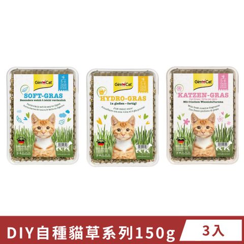 GimCat 德國竣寶 GIMBORN 竣寶 DIY自種貓草系列 150g (盒裝) x3入