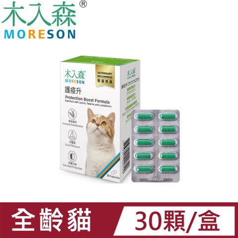 木入森 貓咪護疫升 貓咪離胺酸 (免疫配方)寵物保健 營養品 Cat Health