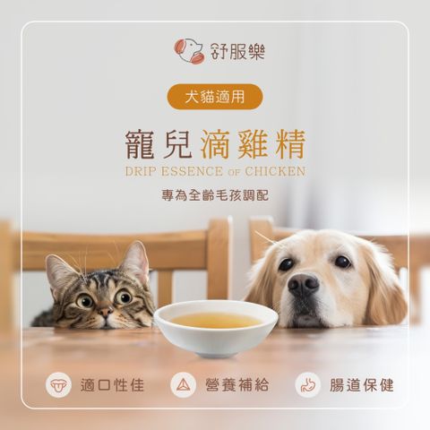 寵兒滴雞精｜犬貓適用
