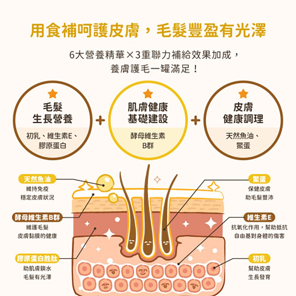 汪喵星球 亮毛護膚鱉蛋粉*3入組