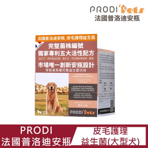 【PRODI法國普洛迪安瓶】皮毛護理益生菌(大型犬) 1ML*30
