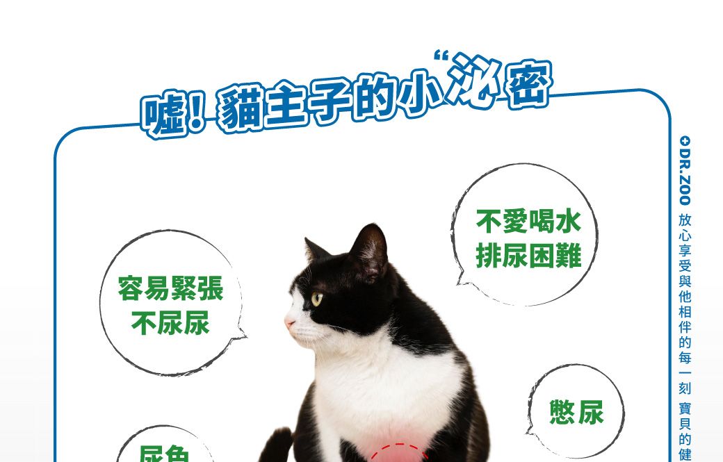 嘘!貓主子容易緊張不尿尿不愛喝水排尿困難尿色憋尿  的