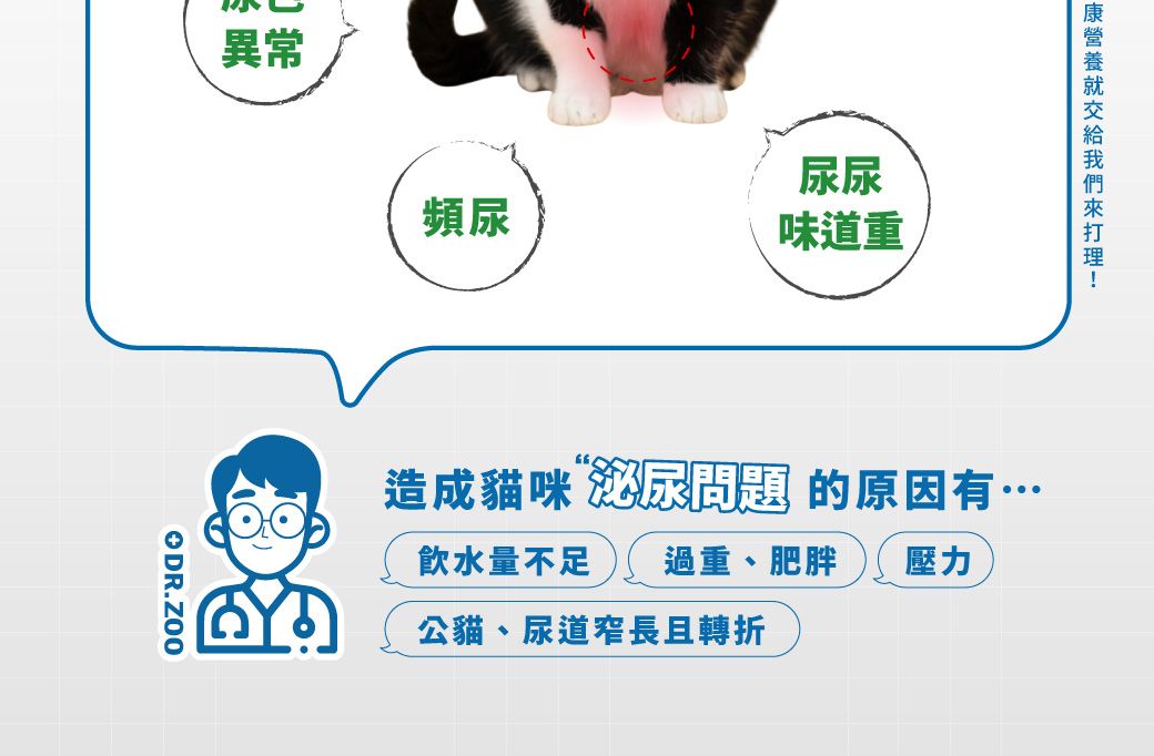 異常ODR.ZOO頻尿尿尿味道重造成貓咪 問題 的原因有飲水量不足 過重、肥胖 壓力公貓、尿道窄長且轉折
