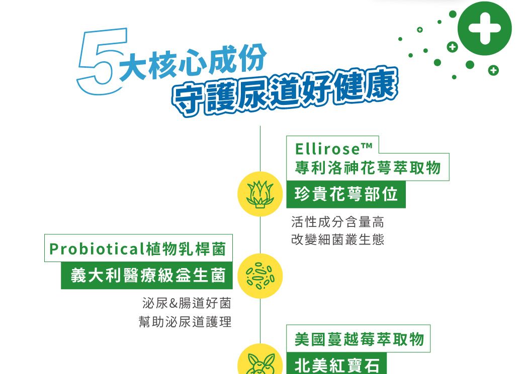 核心大核心成份守護尿道好健康Ellirose專利洛神花萼萃取物珍貴花萼部位活性成分含量高Probiotical植物乳桿菌義大利醫療級泌尿&腸道好菌幫助泌尿道護理改變細菌叢生態美國蔓越莓萃取物北美紅寶石