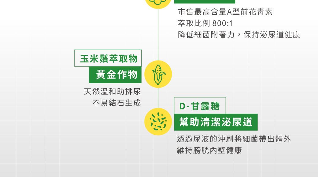 玉米鬚萃取物黃金作物天然溫和助排尿市售最高含量A型前花青素萃取比例 800:1降低細菌附著力,保持泌尿道健康不易結石生成D-甘露糖幫助清潔泌尿道透過尿液的沖刷將細菌帶出體外維持膀胱內壁健康