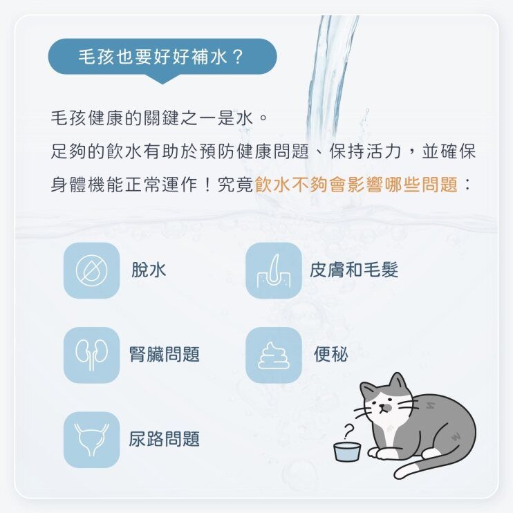  含氧分子水｜犬貓適用 ｜高溶氧水｜含氧水
