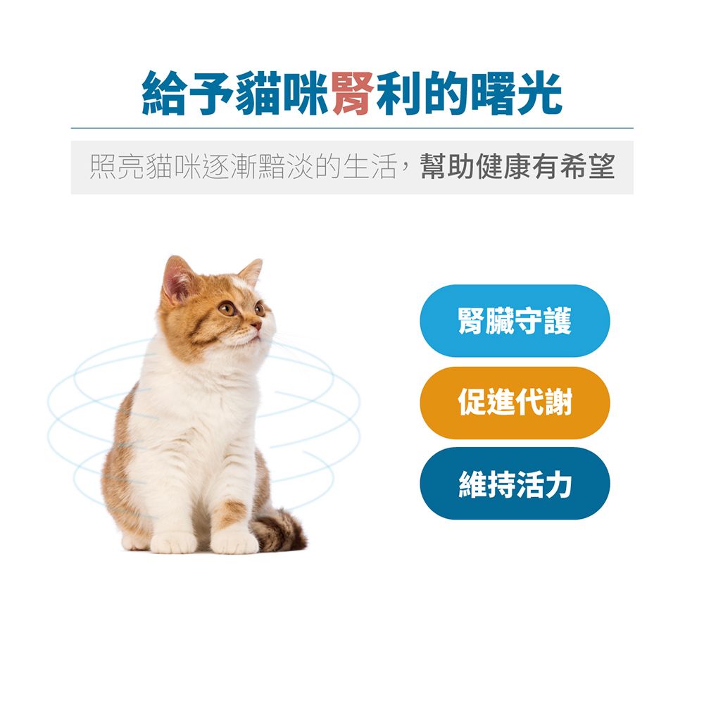 給予貓咪腎利的曙光照亮貓咪逐漸黯淡的生活,幫助健康有希望腎臟守護促進代謝維持活力