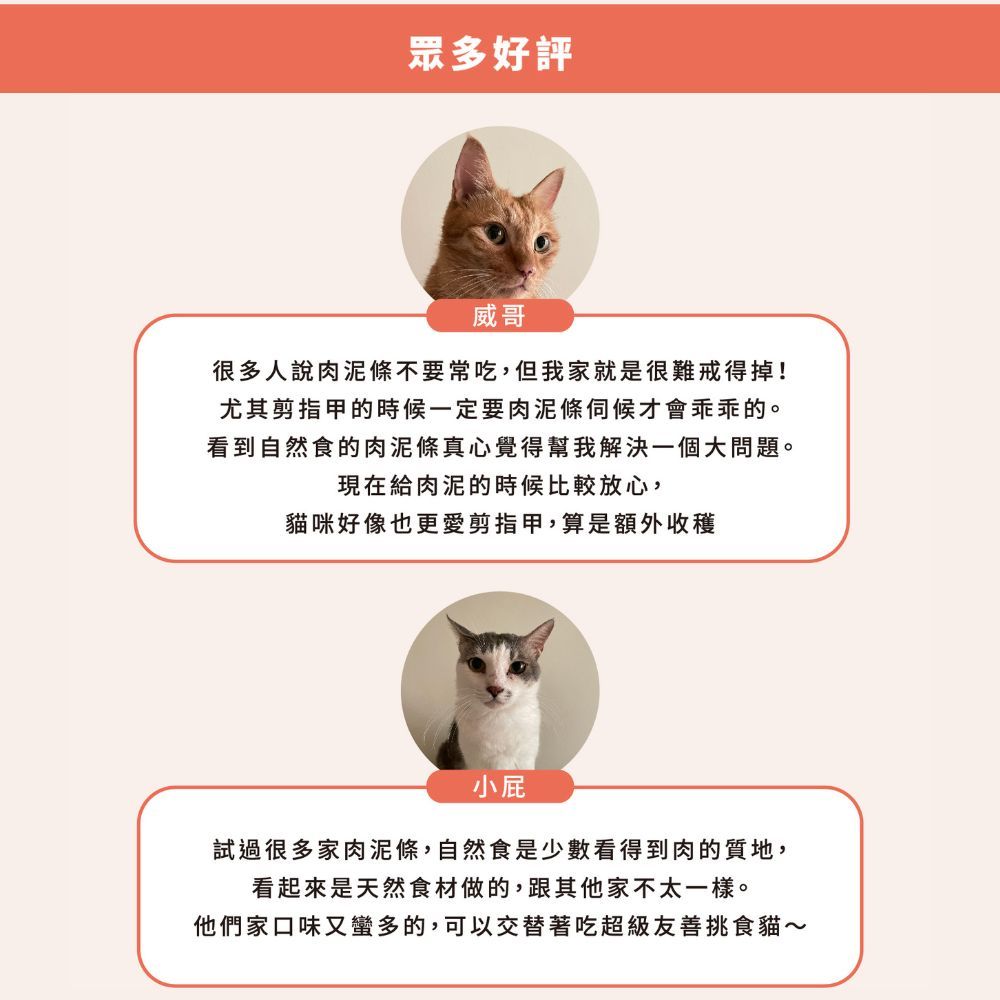 Natural10 自然食 早午晚安心肉泥條-法式乳香鮭