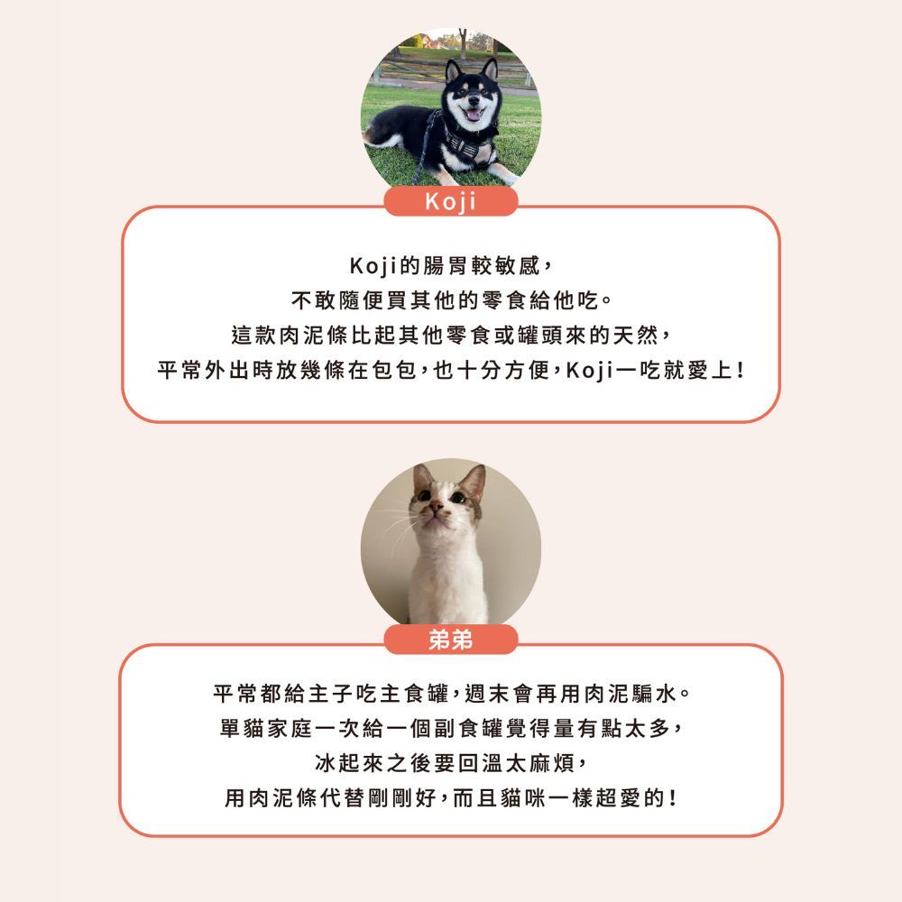Natural10 自然食 早午晚安心肉泥條-法式乳香鮭
