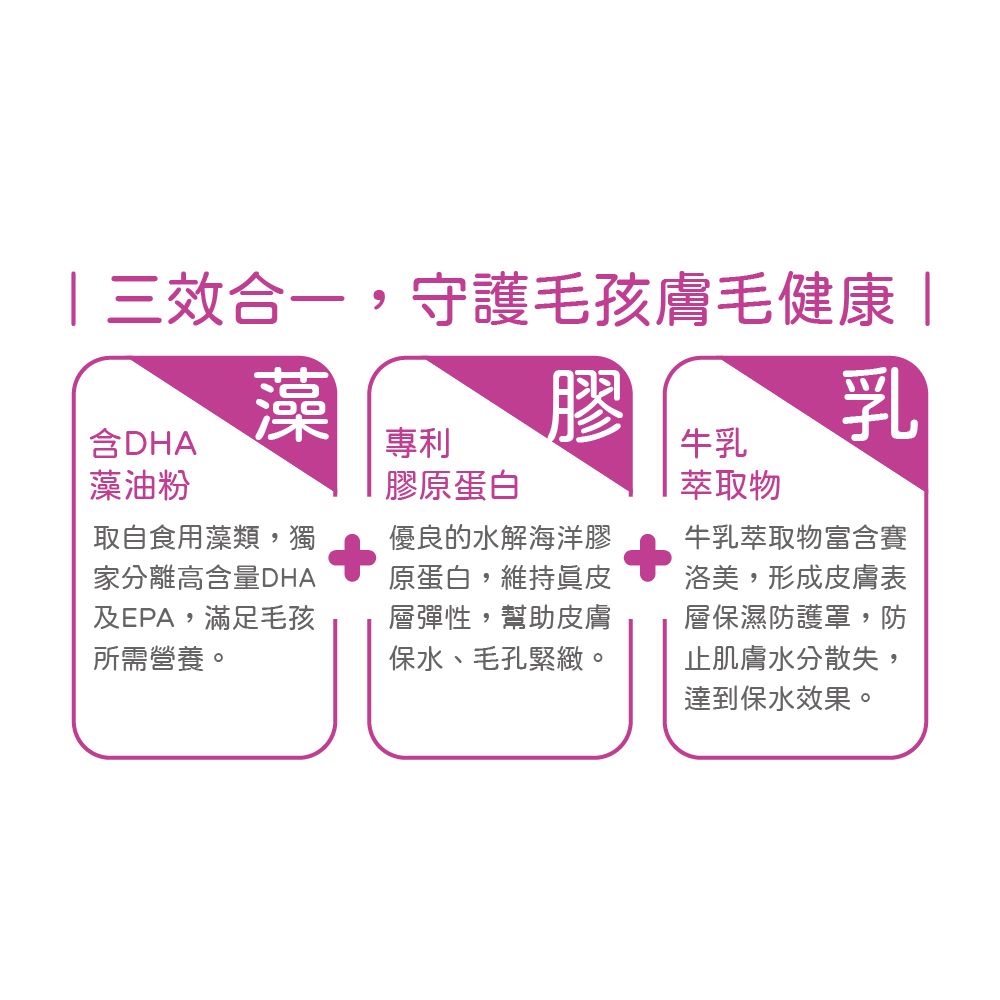 效合一,守護毛孩膚毛健康 |含DHA藻油粉藻膠 乳專利膠原蛋白取自食用藻類,獨家分離高含量DHA及EPA,滿足毛孩所需營養。優良的水解海洋膠原蛋白,維持皮層彈性,幫助皮膚保水、毛孔緊緻。牛乳萃取物牛乳萃取物富含賽洛美,形成皮膚表層保濕防護罩,防止肌膚水分散失,達到保水效果。