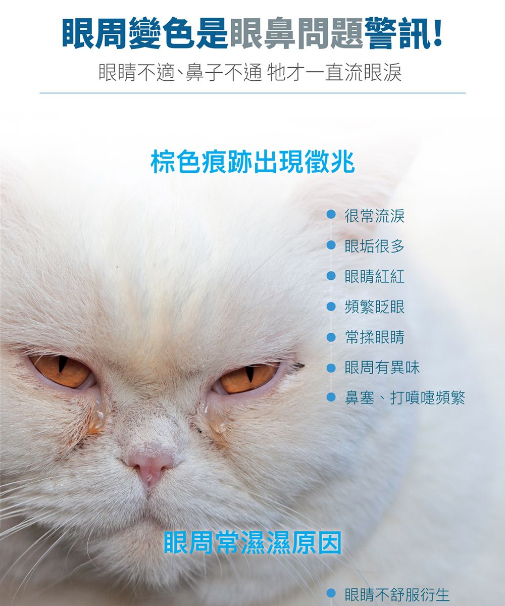 眼周變色是眼鼻問題警訊!眼睛不適鼻子不通 牠才一直流眼淚棕色痕跡出現徵兆很流淚眼垢很多眼睛紅紅頻繁眨眼常揉眼睛眼周有異味鼻塞、打噴嚏頻繁眼周常濕濕原因眼睛不舒服衍生