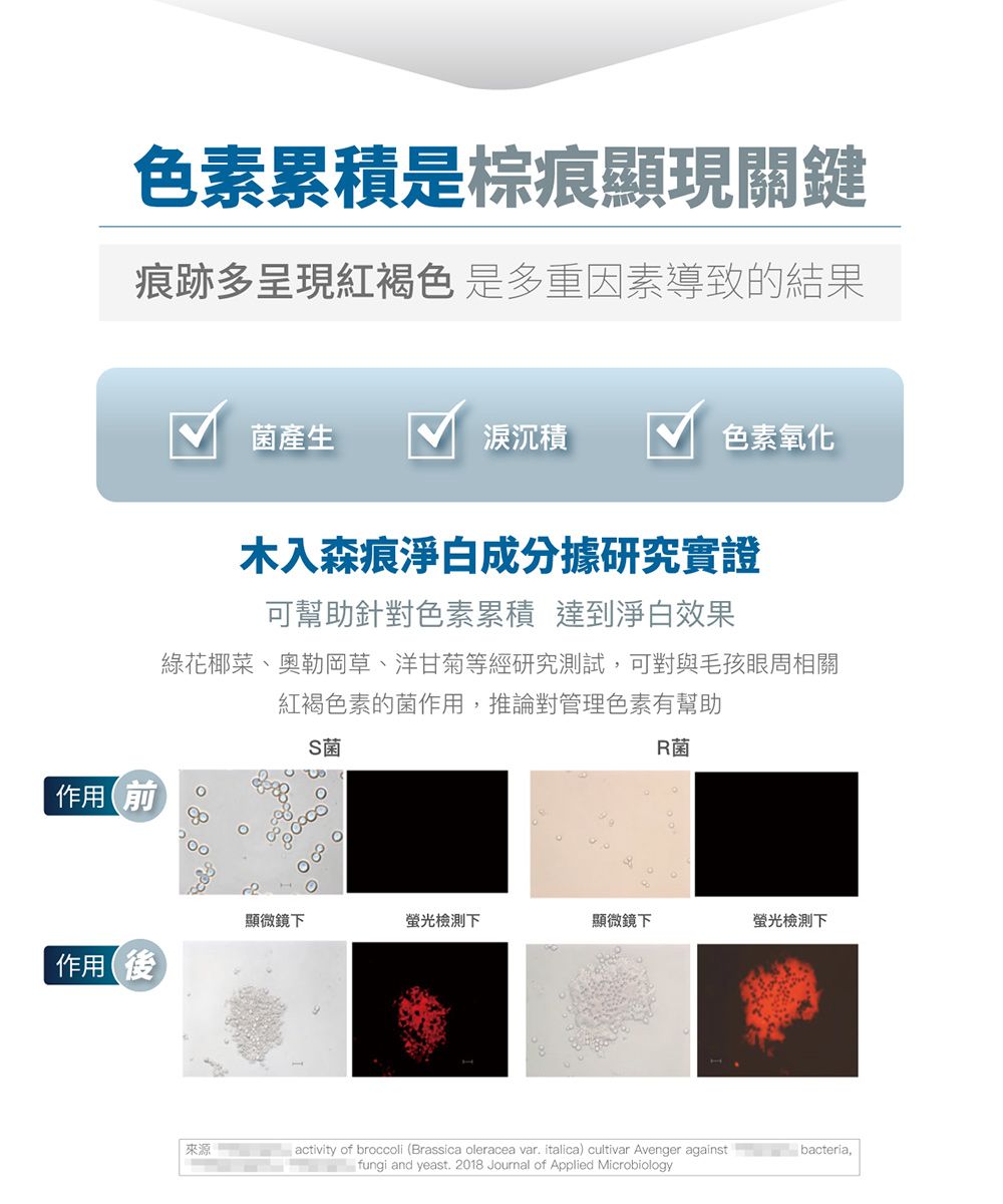 色素累積是棕痕顯現關鍵痕跡多呈現紅褐色是多重因素導致的結果菌產生沉積色素氧化木入森痕淨白成分據研究實證可幫助針對色素累積達到淨白效果綠花椰菜、奧勒岡草、洋甘菊等經研究測試可對與毛孩眼周相關紅褐色素的菌作用,推論對管理色素有幫助S菌作用R菌顯微鏡下檢測下顯微鏡下螢光檢測下作用來源activity of broccoli (Brassica oleracea var italica) cultivar Avenger against bacteria,fungi and yeast. 2018 Journal of Applied Microbiology