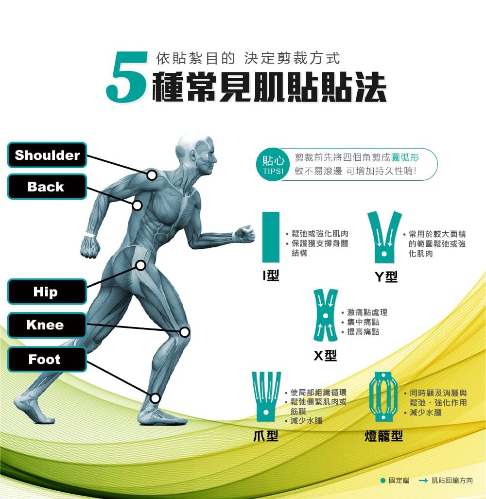 ShoulderBack依貼紮目的 決定剪裁方式5種常見肌貼貼法貼心 剪裁前先將四個角剪成圓弧形較不易滾邊 可增加持久性唷!HipKneeFoot或強化肌肉保護獲支撐身體結構型激痛點處理集中痛點X型提高痛點常用於較大面積的範圍鬆弛或強化肌肉型使局部組織循環鬆弛緊肌肉或筋膜減少水腫燈籠型 同時顧及消腫與鬆弛強化作用減少水腫● 固定端  肌貼回縮方向