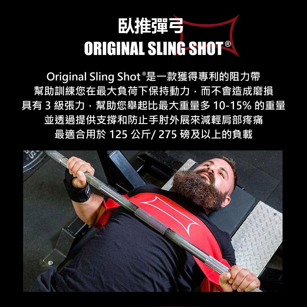  美國 Mark Bell Sling Shot  臥推彈弓 LV3