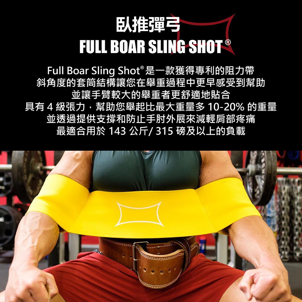  美國 Mark Bell Sling Shot  臥推彈弓 LV4