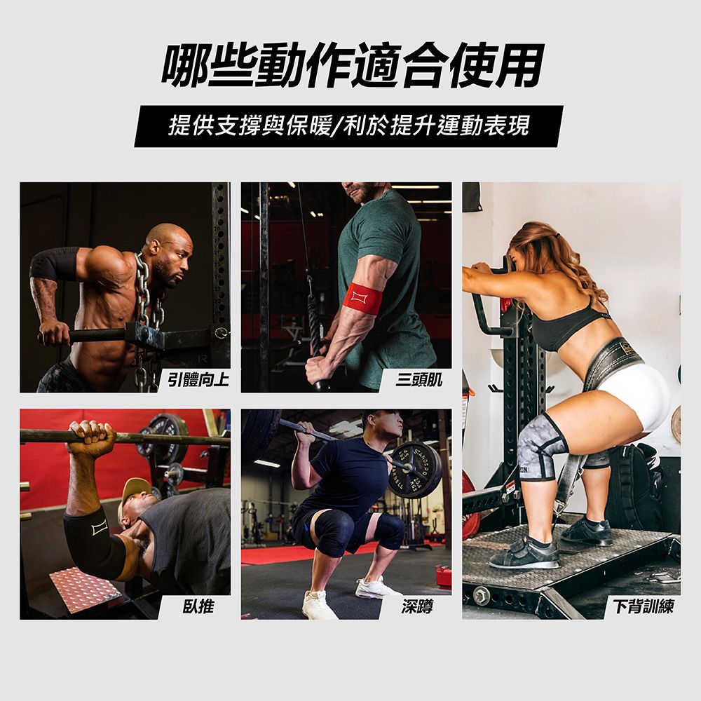  美國 Mark Bell Sling Shot 強力護膝套 STrong Knee Sleeves