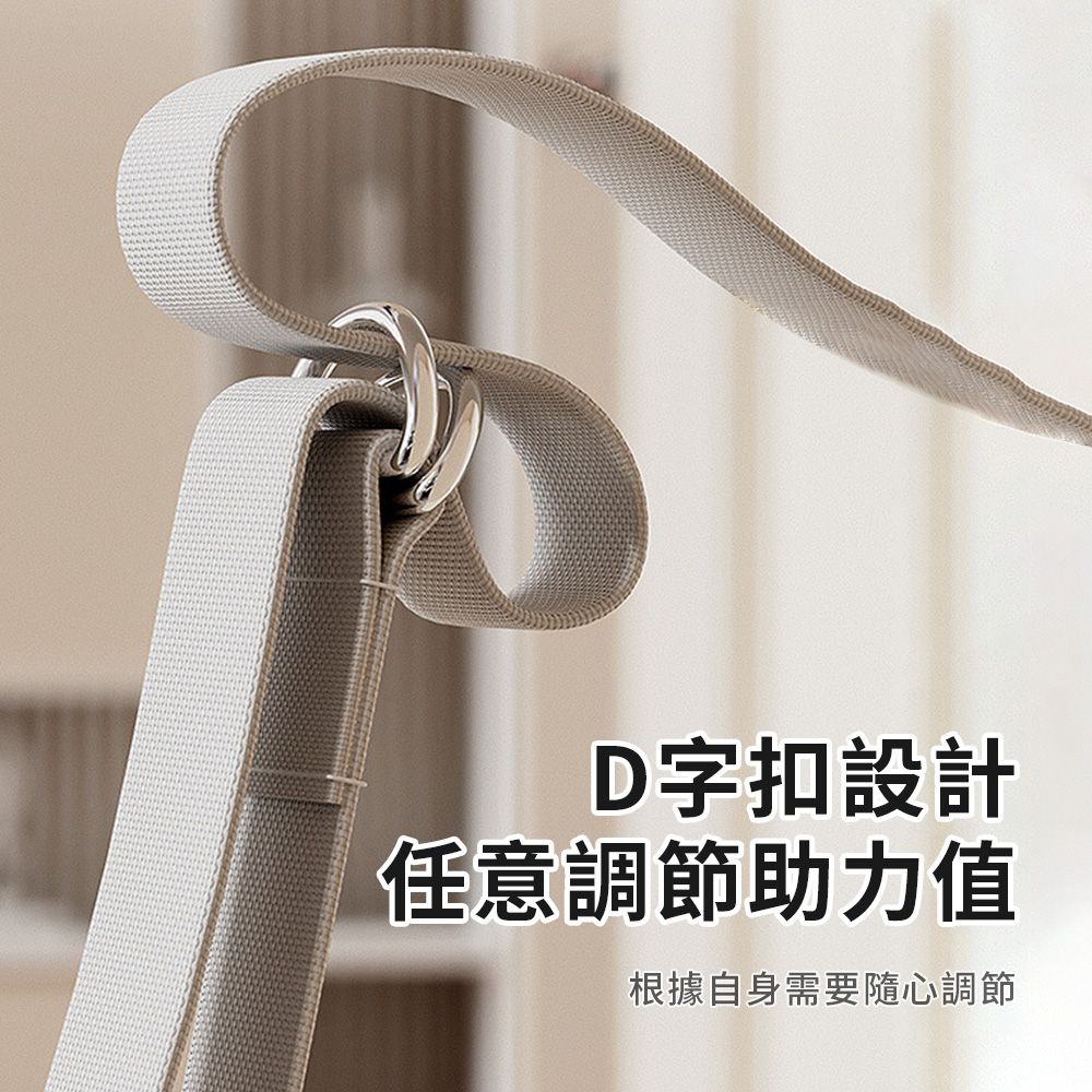 Friyu 可調節引體向上助力帶 重訓健身輔助帶 單杠訓練輔助帶 拉力帶（彈力繩訓練 拉力織帶)）