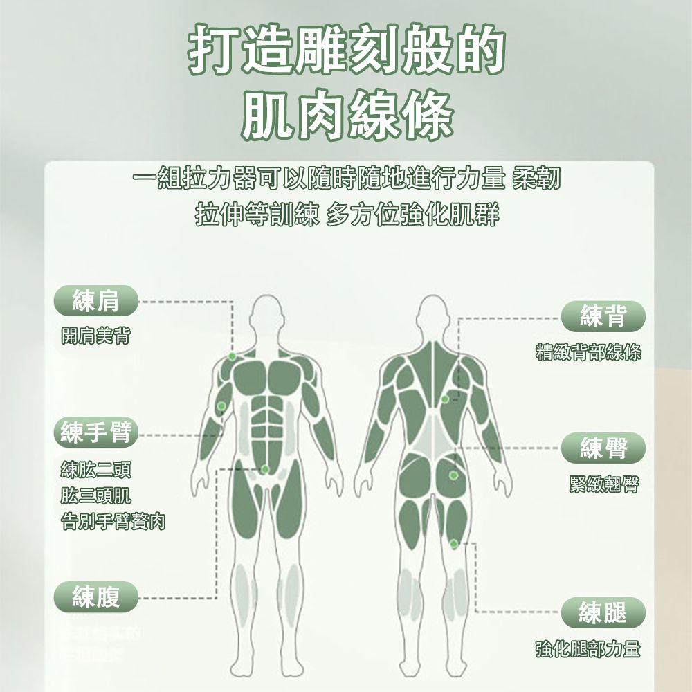 練肩肩美背打造雕刻般的肌肉線條一組拉力器可以隨時隨地進行力量 拉伸等訓練 多方位強化肌群練背精緻背部線條練手臂練肱二頭肱三頭肌 告別手臂練腹練緊緻翹臀練腿強化腿部力量