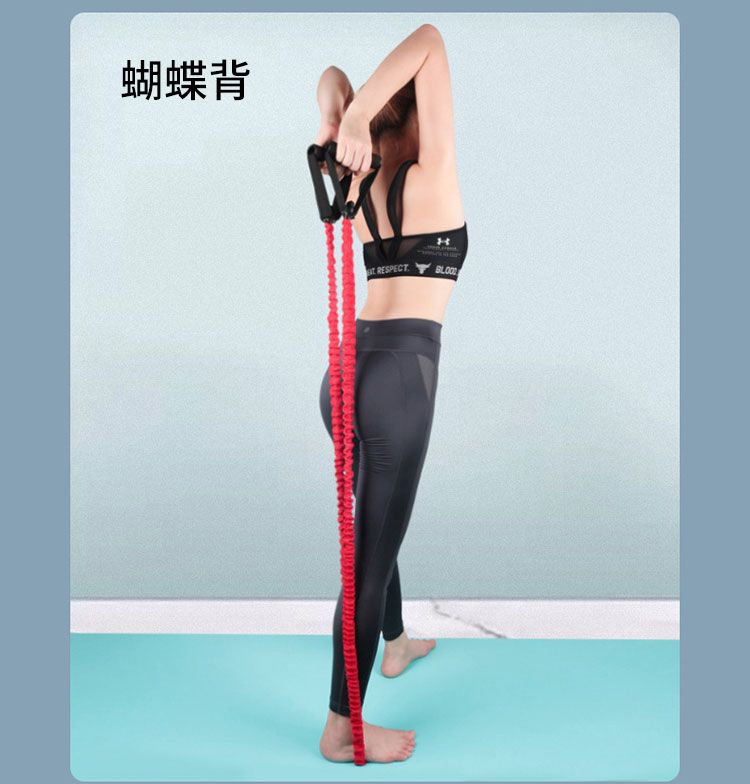 蝴蝶背RESPECT