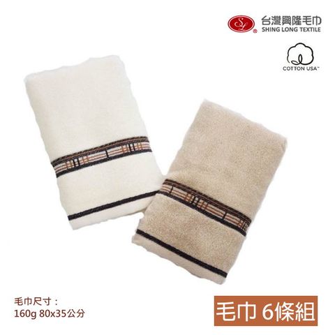 美國棉＊低調奢華厚款毛巾(6條毛巾組)  【台灣興隆毛巾製】飯店級厚度
