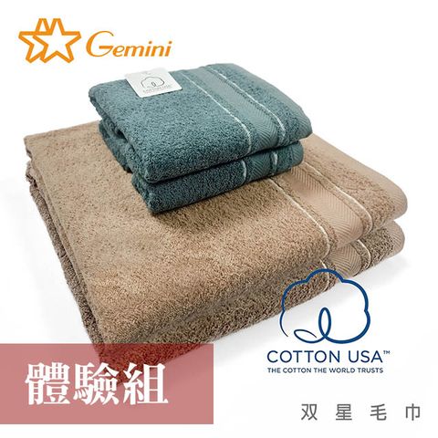 【Gemini 双星毛巾】美國棉歐式典雅系列(體驗組)