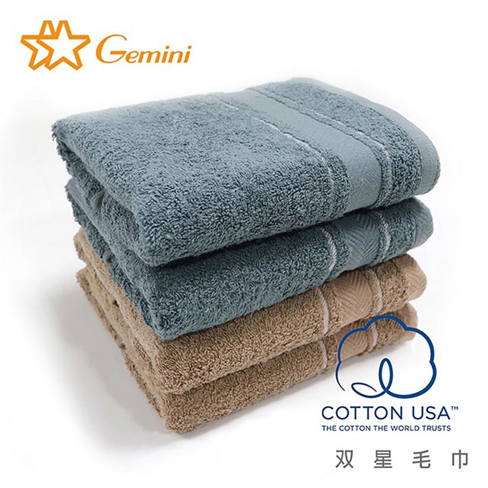 Gemini 雙星毛巾 美國棉歐式典雅系列(體驗組) 浴巾*1+毛巾*1