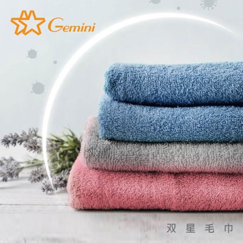 Gemini 雙星毛巾 抗菌機能毛巾-毛巾二入組