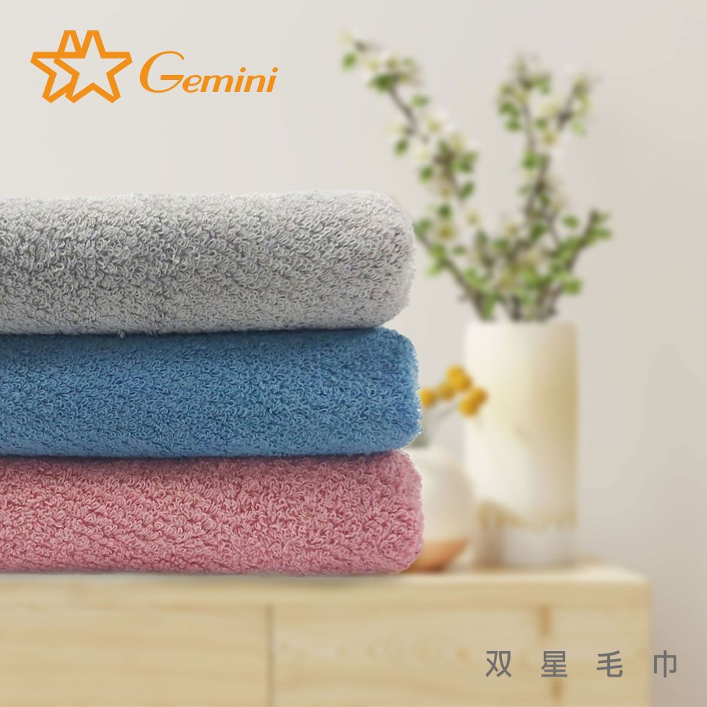 Gemini 雙星毛巾 抗菌機能毛巾-毛巾二入組