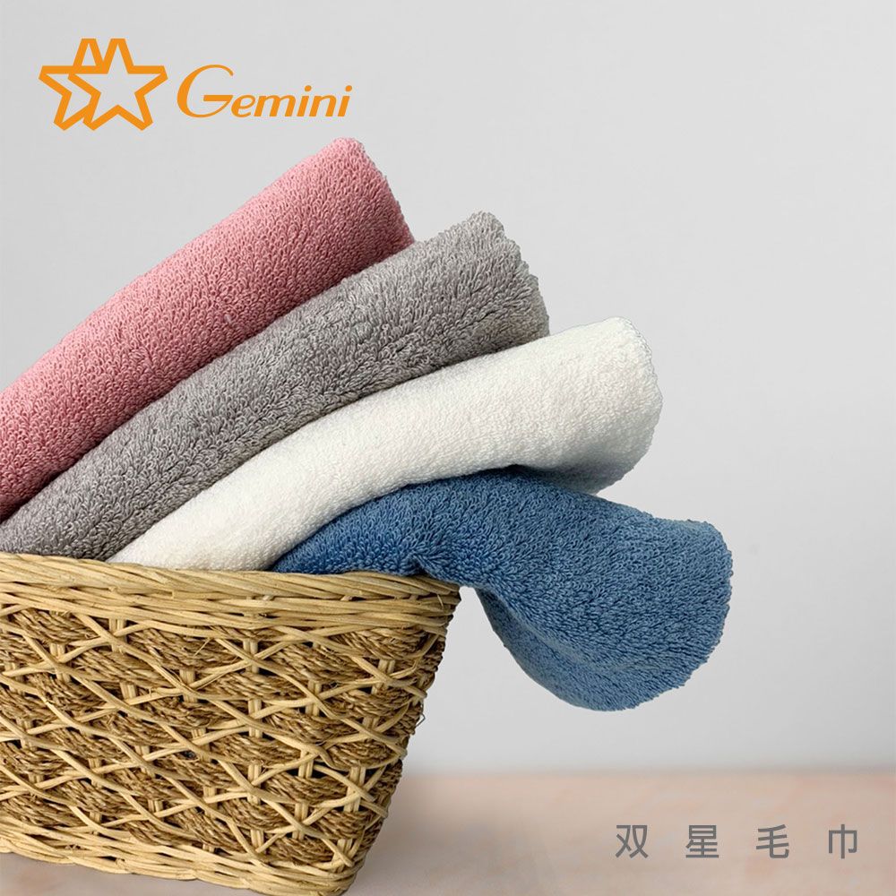 Gemini 雙星毛巾 抗菌機能毛巾-毛巾二入組