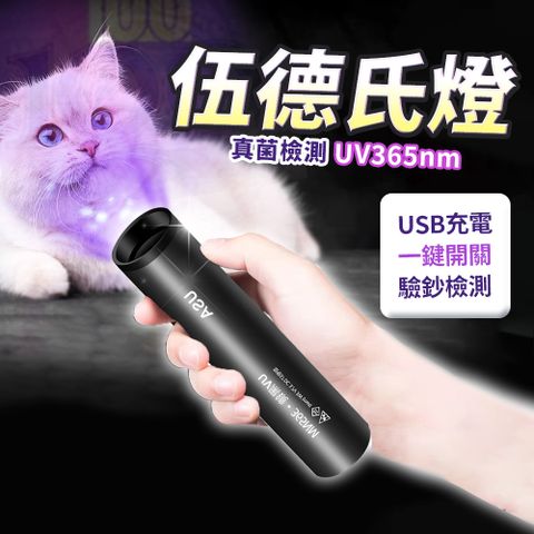 【Pet Paradise】紫光手電筒 伍德氏燈 驗鈔燈 貓癬寵物檢測燈