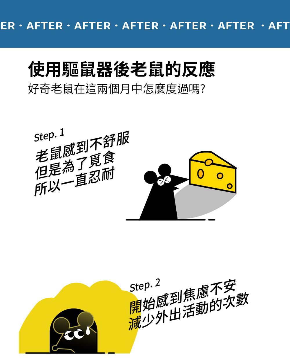 AFTERAFTERAFTER·AFTER·AFTER使用驅鼠器後老鼠的反應好奇老鼠在這兩個月中怎麼度過嗎?Step. 1老鼠感到不舒服但是為了覓食所以一直忍耐 Step.2開始感到焦慮不安減少外出活動的次數AFT