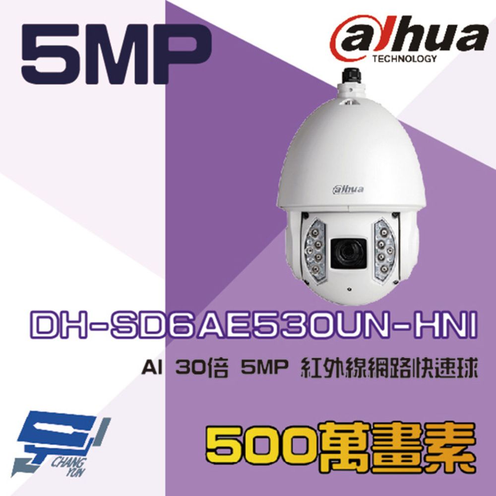 Dahua 大華 昌運監視器  DH-SD6AE530UN-HNI 500萬 AI 30倍 紅外線網路快速球攝影機