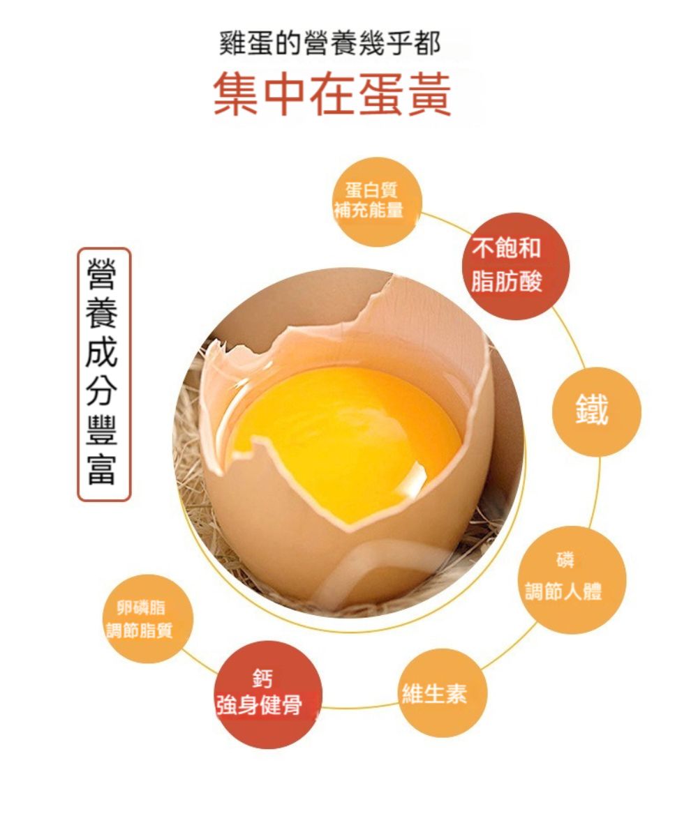營養成分豐富卵磷脂雞蛋的營養幾乎都集中在蛋黃調節脂質鈣強身健骨蛋白質補充能量不飽和脂肪酸維生素鐵磷調節人體