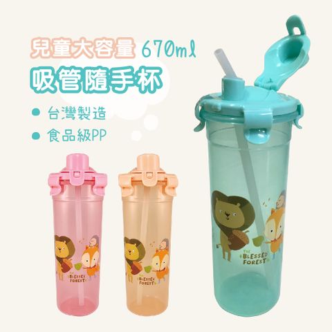 DAODI 挪威森林 台灣益晉 兒童無毒掀蓋防漏吸管水壺670ml