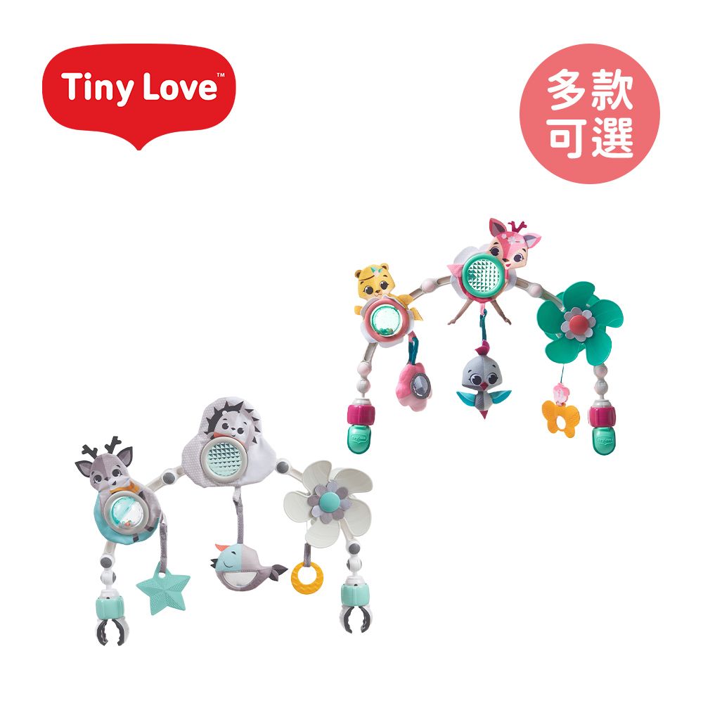 Tiny Love 美國感統隨身健力架(拍拍款) - 多款可選