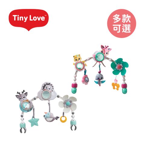 Tiny Love 美國感統隨身健力架(拍拍款) - 多款可選