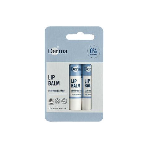 Derma 小燭樹植萃護唇膏 4.8g -2入組