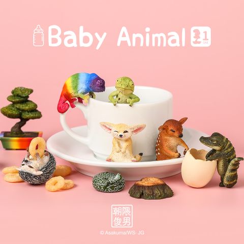 【研達 YENDAR】朝隈俊男-Baby Animal [6入/中盒]