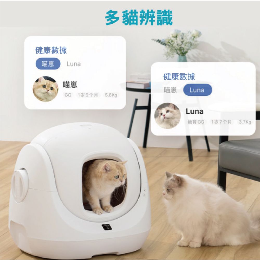 CATLINK  S1 PRO-自動智慧貓砂機(贈耗材)