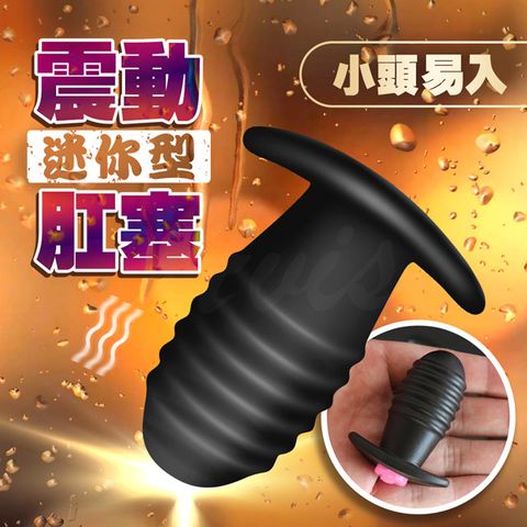 Sex Toys 屁屁寶貝迷你震動肛塞