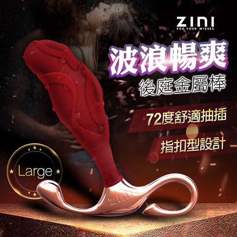 韓國ZINI ZINI布萊克前列腺後庭金屬棒/大