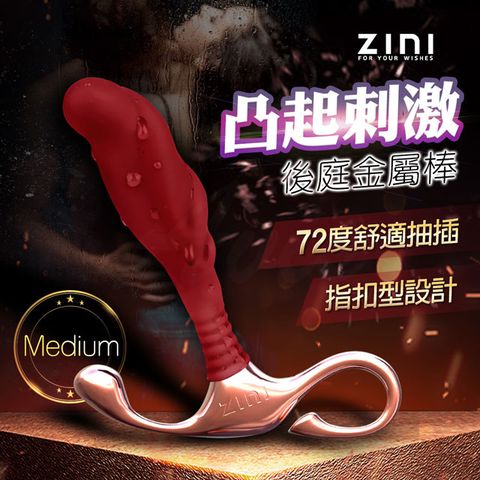 韓國ZINI ZINI布萊克前列腺後庭金屬棒/中