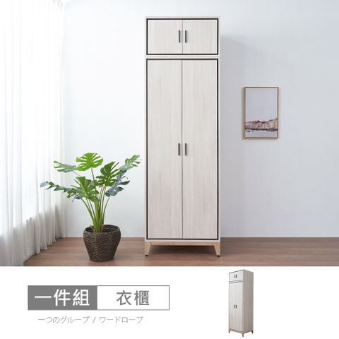 STYLEHOUSE 時尚屋 [RV9]伊莎2.5尺雙吊被櫥衣櫃RV9-B812+B820-二色可選/免運費/免組裝/衣櫃