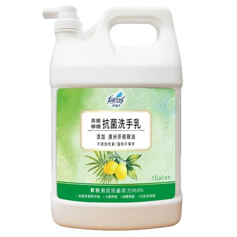 【南紡購物中心】 花仙子 茶樹檸檬抗菌洗手乳 1加侖x2桶