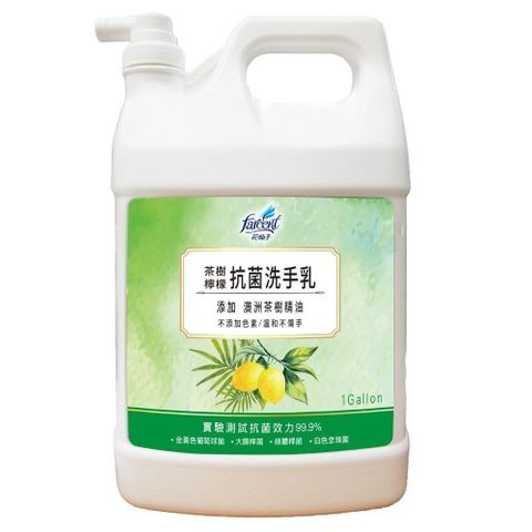花仙子 茶樹檸檬抗菌洗手乳